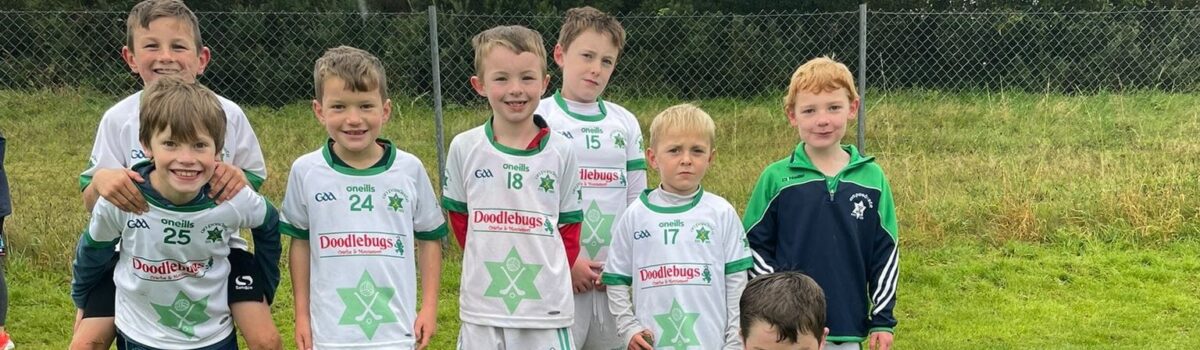 U8’s have 6 competitive games in hurling blitz hosted by Éire Óg